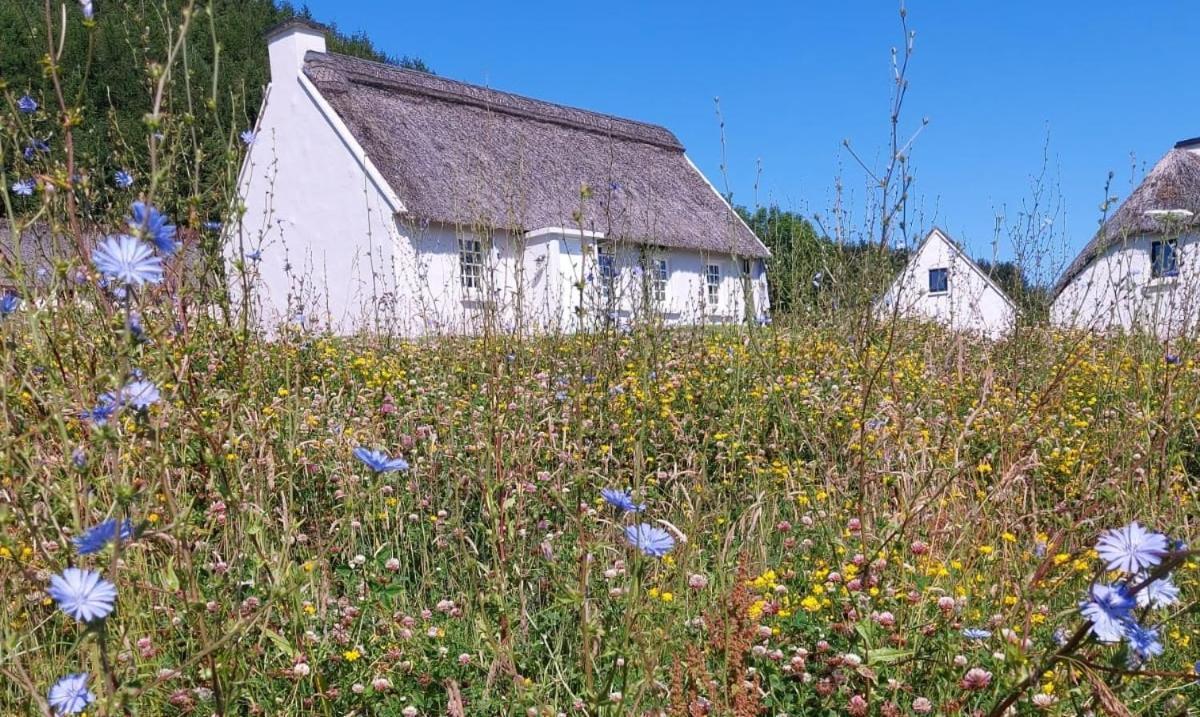 Corofin Lake Cottages 外观 照片